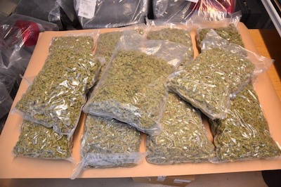 Polizei Cannabis
